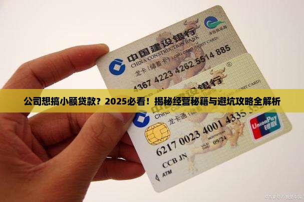 公司可以经营小额贷款吗