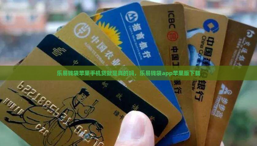 乐易钱袋苹果手机贷款 乐易钱袋苹果手机贷款