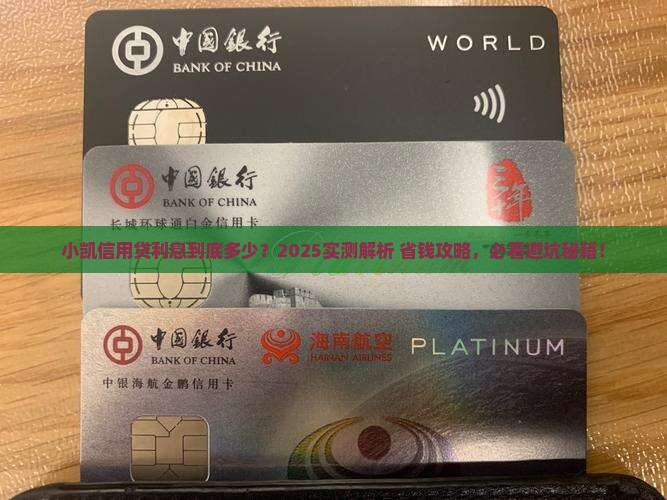 信用贷款小凯利息多少钱