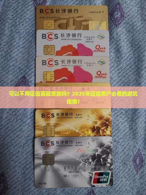 可以不用征信高额贷款吗