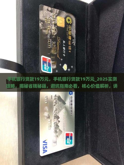 手机银行贷款19万元