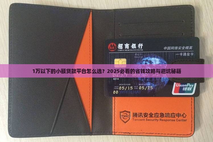 1万以下的小额贷款平台