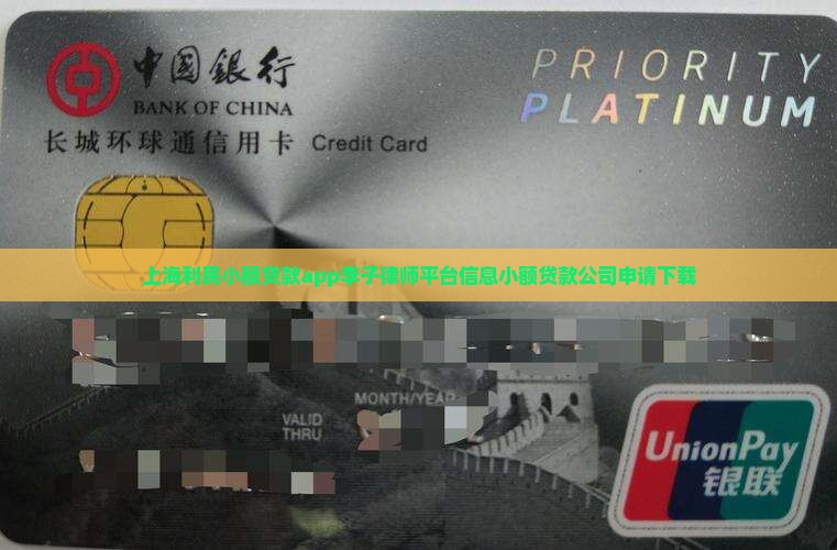 上海利民小额贷款app