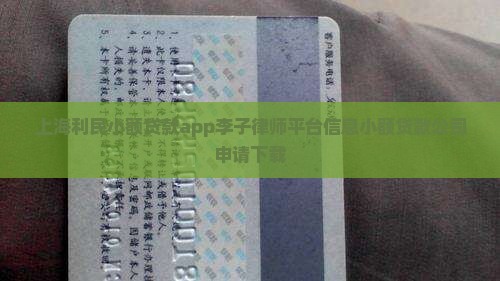 上海利民小额贷款app