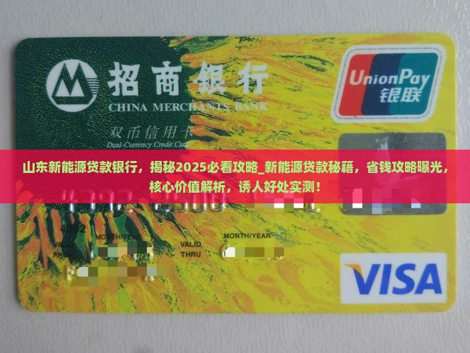山东新能源贷款银行