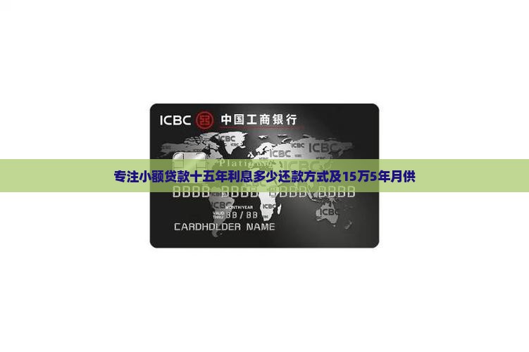 专注小额贷款十五年