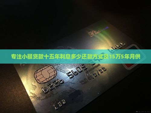 专注小额贷款十五年