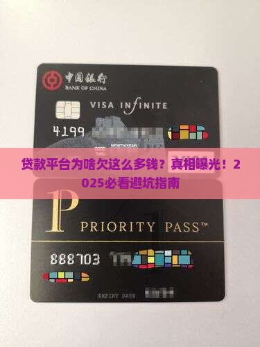 为什么贷款平台会欠这么多钱