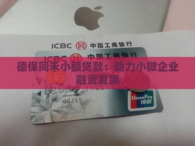 德保同禾小额贷款