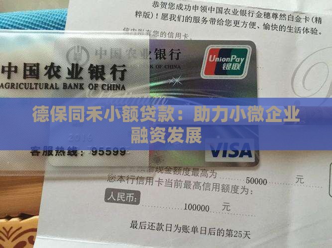 德保同禾小额贷款