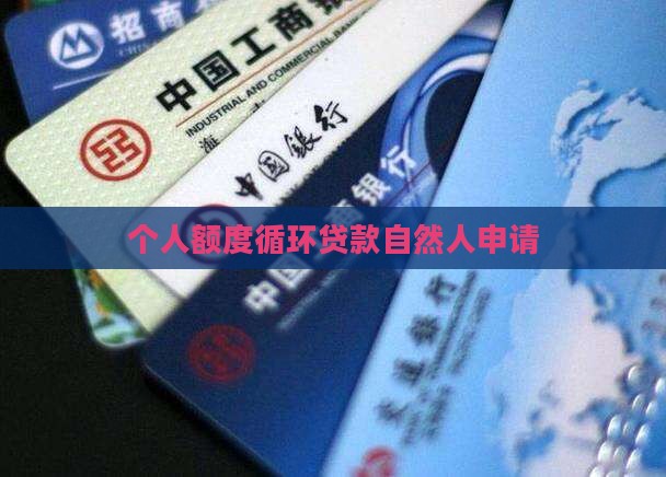 个人额度循环贷款吗