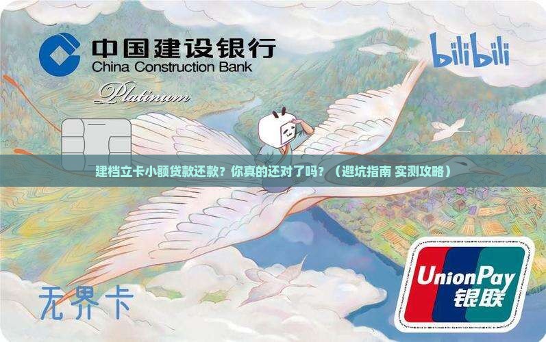 建档立卡小额贷款还款