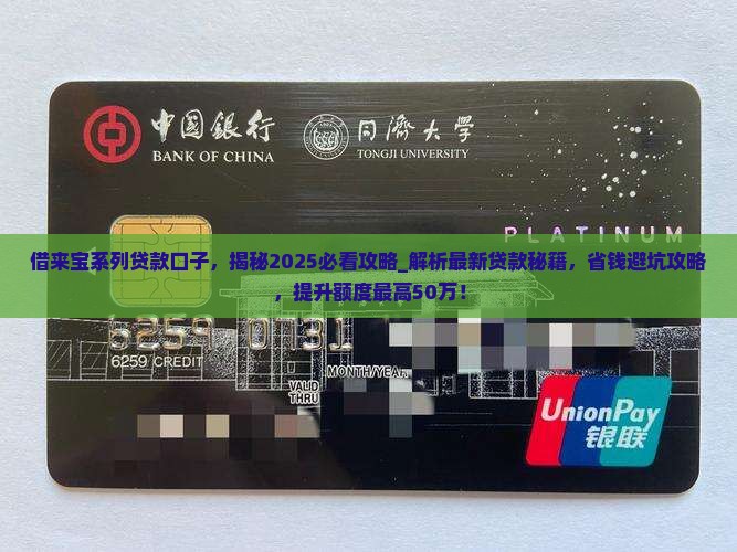 借来宝系列贷款口子