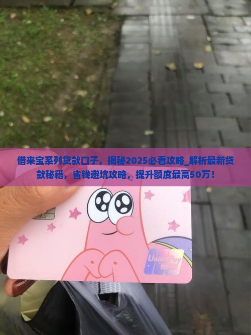 借来宝系列贷款口子