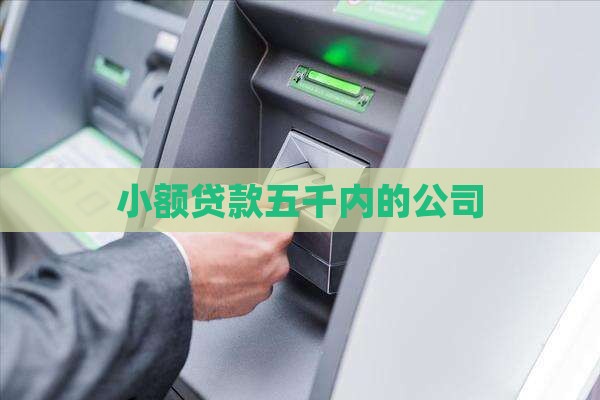 小额贷款五千内的公司