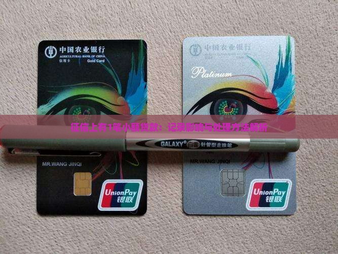征信上有1笔小额贷款