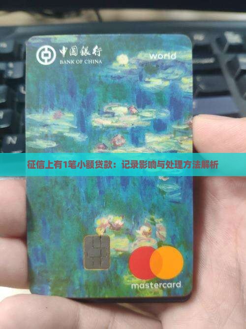征信上有1笔小额贷款