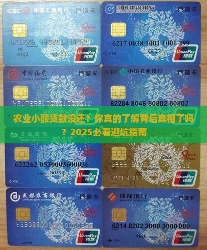 农业小额贷款未归还