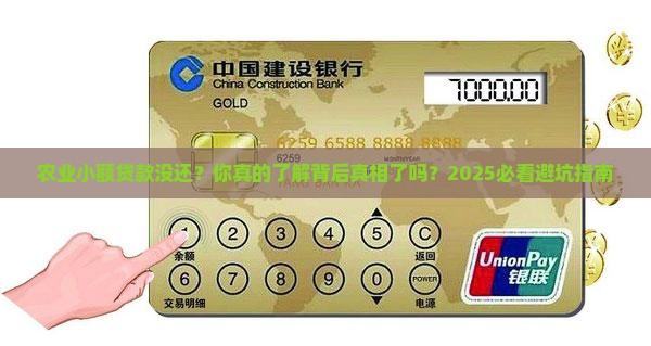 农业小额贷款未归还