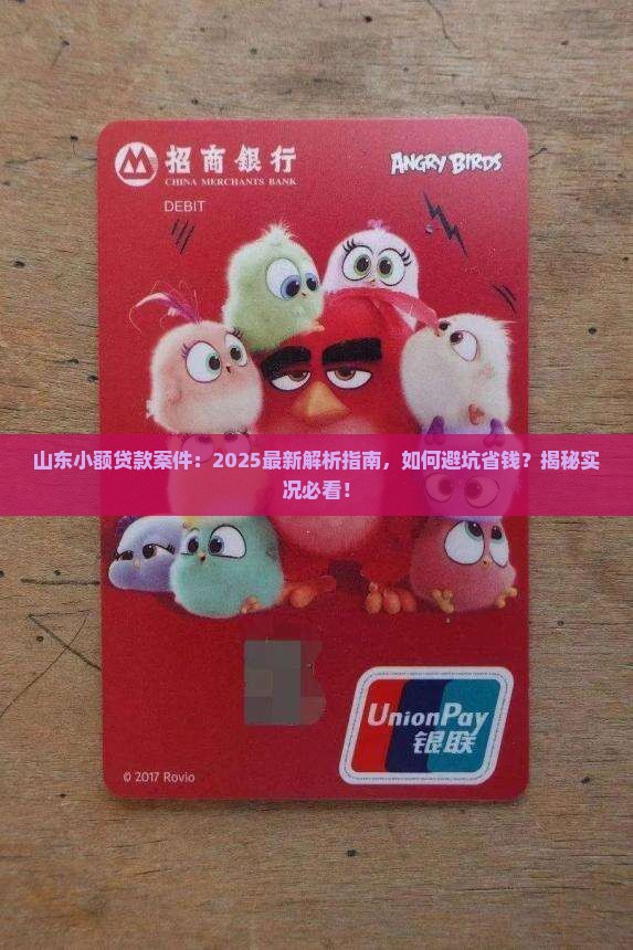 山东小额贷款案件