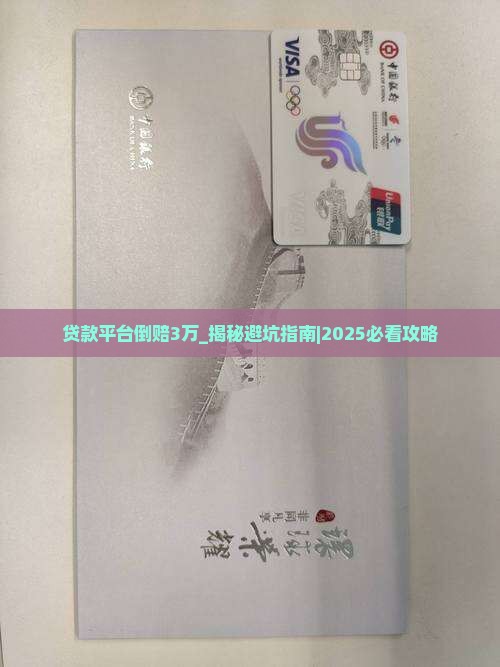 贷款平台倒赔3万