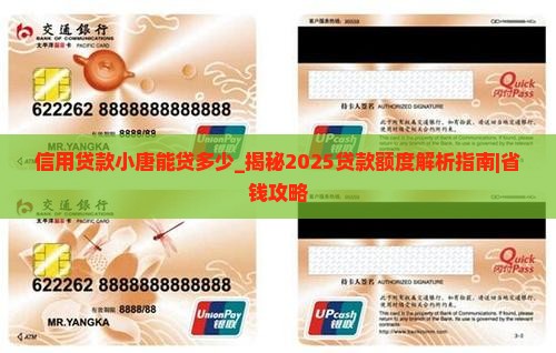 信用贷款小唐能贷多少