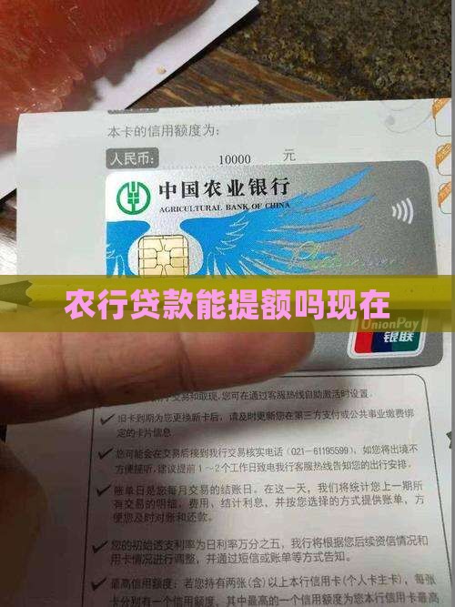农行贷款能提额吗现在