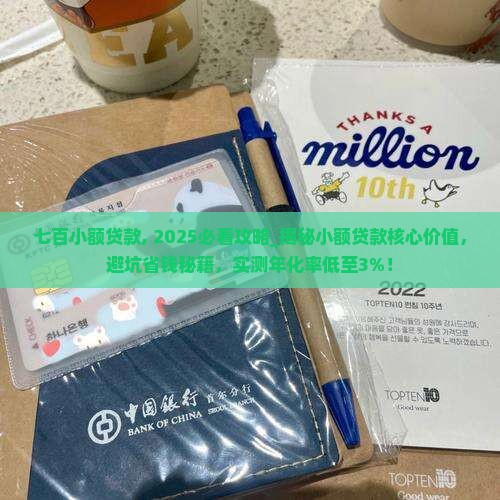 七百小额贷款