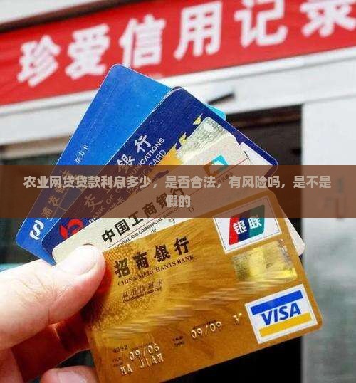 农业网贷贷款