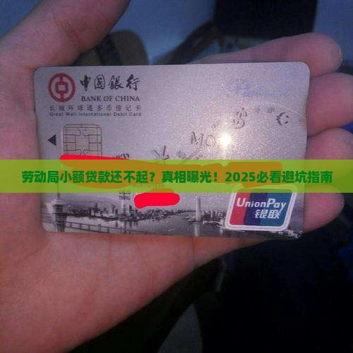 劳动局小额贷款还不起