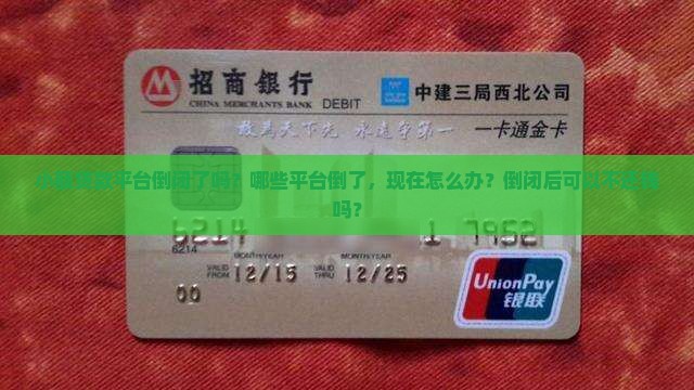 小额贷款平台倒闭了吗