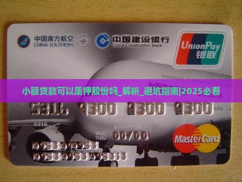 小额贷款可以质押股份吗