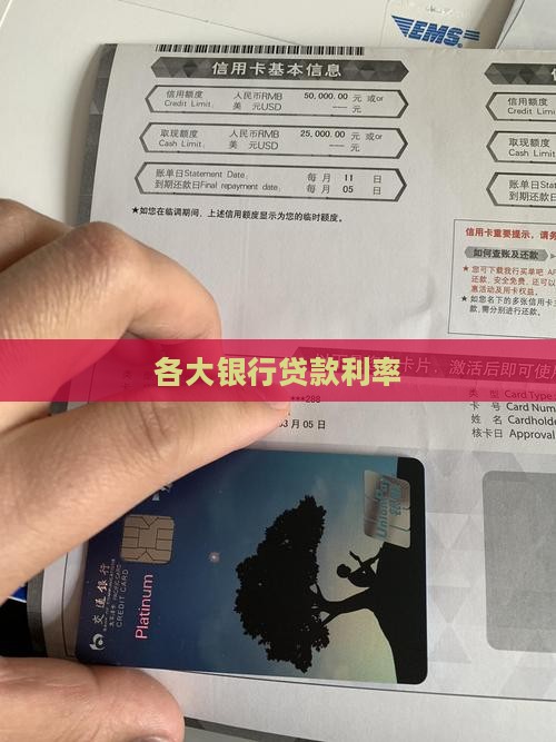 其他银行贷款利息