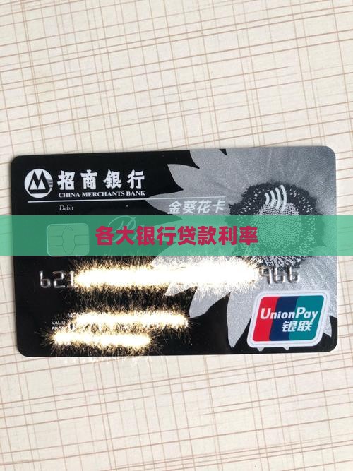 其他银行贷款利息