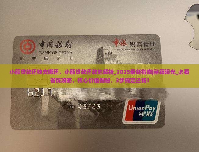 小额贷款还钱去哪还