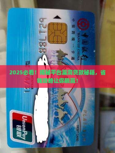利用平台漏洞贷款