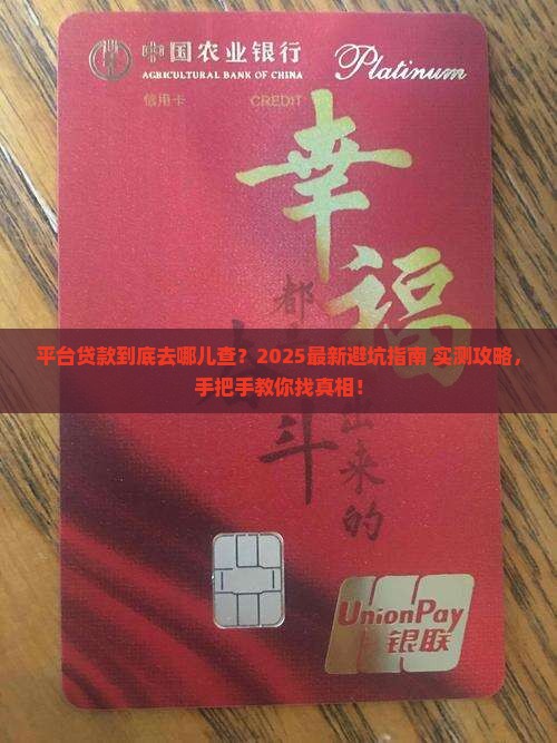 平台贷款在哪里能查到