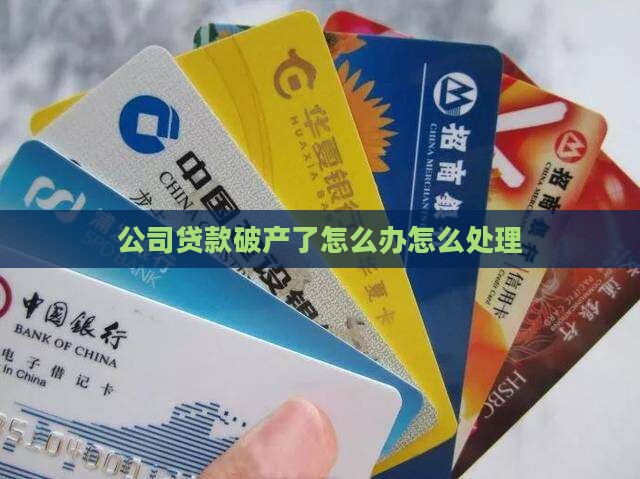 公司借的创业贷款破产了