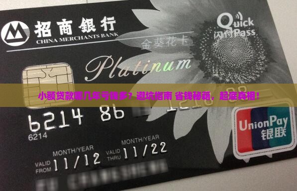 小额贷款哪几年挣了钱少