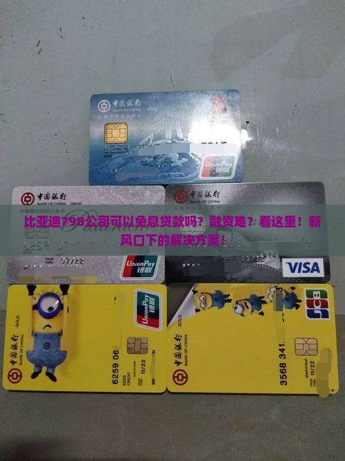 比亚迪798公司可以免息贷款吗