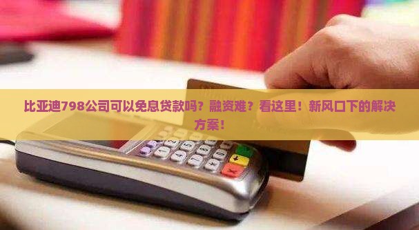 比亚迪798公司可以免息贷款吗