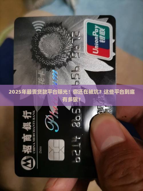 全球最贵贷款平台排名