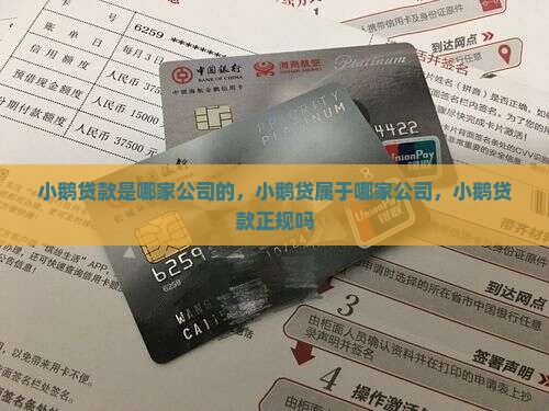小鹅贷款是哪家公司的