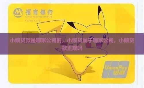 小鹅贷款是哪家公司的