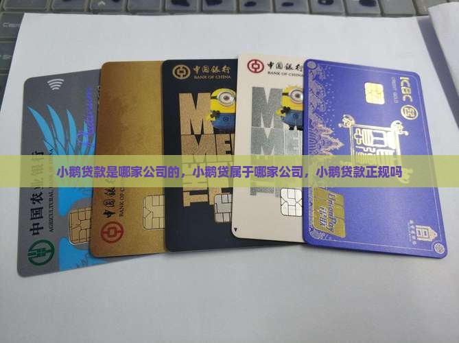 小鹅贷款是哪家公司的