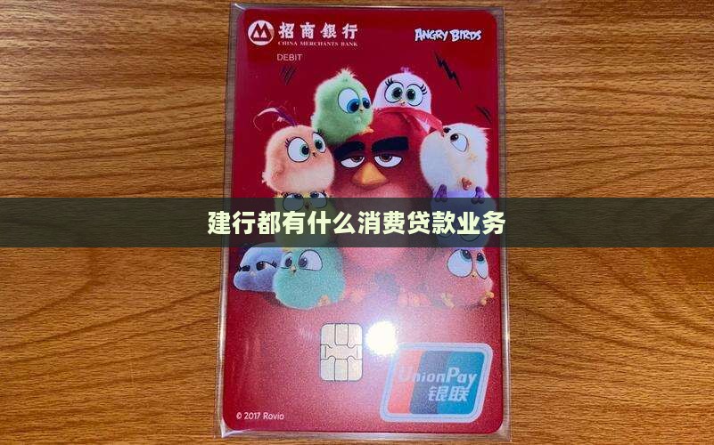 建行都有什么消费贷款业务