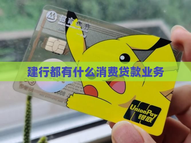 建行都有什么消费贷款业务