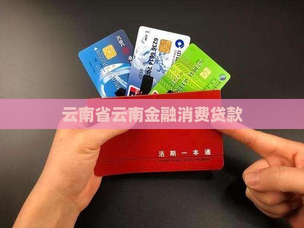 云南金融消费贷款