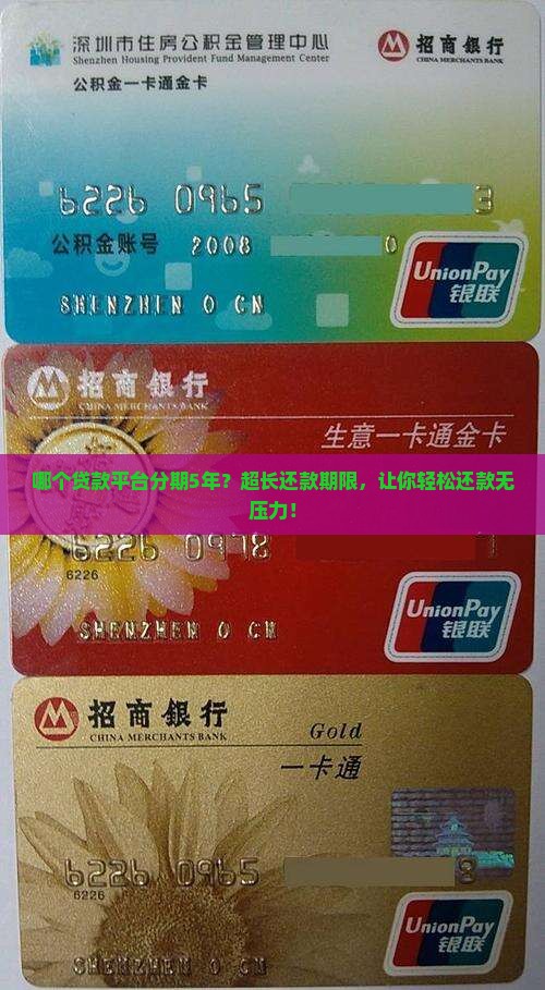 哪个贷款平台分期5年