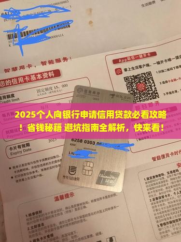 个人向银行申请信用贷款